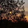 adlwi82