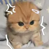 mixxvz