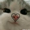 glxsyy.ghaisan_lup