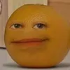 polareq11