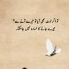 han.jaani