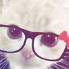 phyo56518