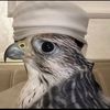 .alsalem1