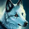 user88020155095667