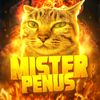 Mr penus