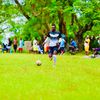 toogokamsi