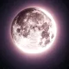 margarita_20110821