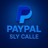 paypalslydlacalle.30