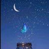 shahd.ahmed7584