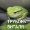 truboeb_vitala52