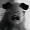 .alisa_vae