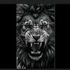user540063508790305