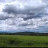 valdivino.ferreir49