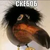 хуеглоб