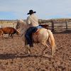trottin_in_the_52