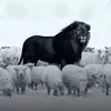 bosskurd53
