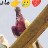 user3513749540873