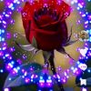 user675576076