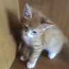 user1727883jxb