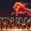 trung.gy.t