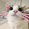 za_li16