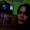 holang50