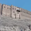 darendara815