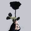 abd.alrhman3024