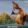 awoticktopchik