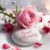 user751091237