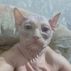 user343454kz