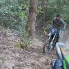 that_19kx450rippa