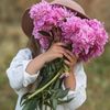arwa77560