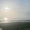 phusa25