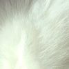 user850615515719