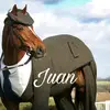 caballo._juan_mem