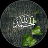 user9492713470031