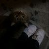 ashi_339