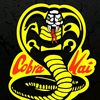 cobra.kai0064