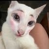 claire_lucuandgemac