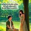 madushan6564