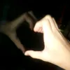 dinlehoaa
