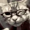masud_pro0
