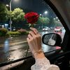 user032620600
