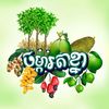 ចម្ការតាខ្នា-Chamka Ta Kna