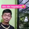 edoy2049