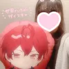 ri_va1113