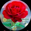 asad.jutt.8012