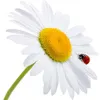 bobrina82