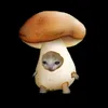 funchoza45_